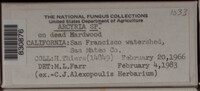 Image Associated With the Occurence
